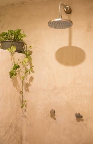 Albergue Cozy Private Glamping