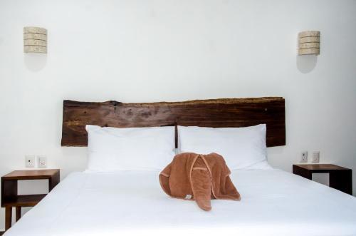 Apartamento Suite Casa Tortuga