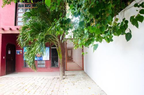 Apartamento Suite Casa Tortuga