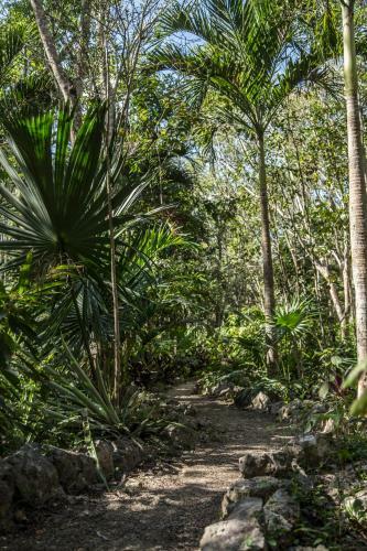 Bed & Breakfast La Selva Mariposa