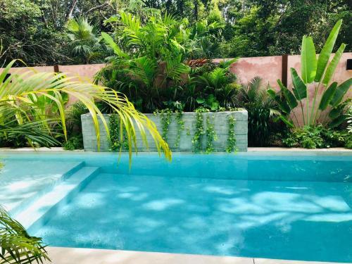 Selva Tulum Hermosom Apartamento Eco Chic