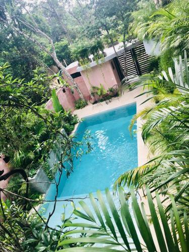 Selva Tulum Hermosom Apartamento Eco Chic