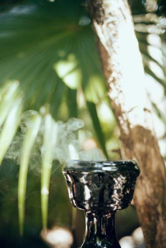 Hotel Tribal Tulum