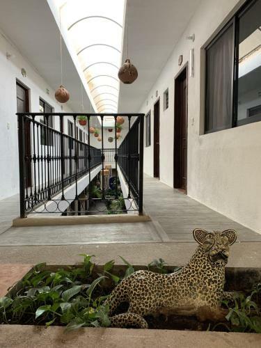 Hotel Villa Esmeralda