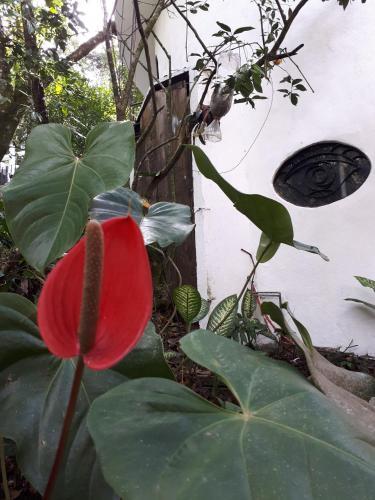 Hotel Para�so Encantado