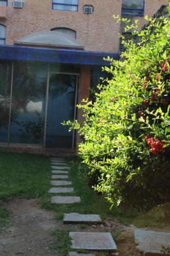 Hotel Plaza Zacatecas