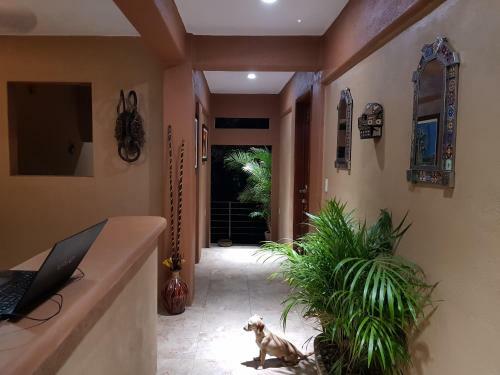 Casa Arcoiris Zihuatanejo B&B