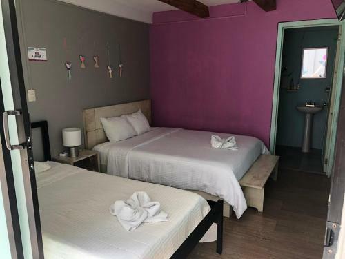 Bed & Breakfast Nordiko San Cristobal