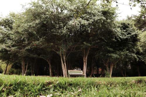 Hotel Bosques Del Sol Suites