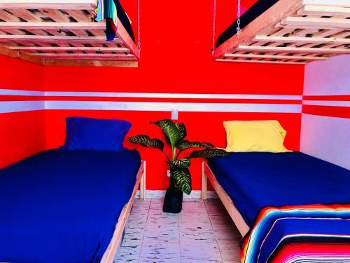 Hostal El Besito Hostel Sma