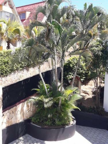 Agroturismo Finca Villa Paola