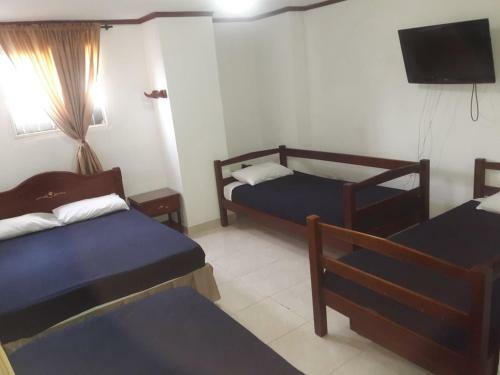 Hotel Del Parque Davinchi