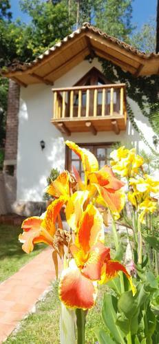 Caba�a Campestre San Fernando