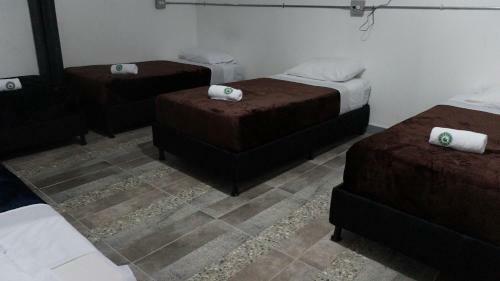 Hostal Nativo Hostel