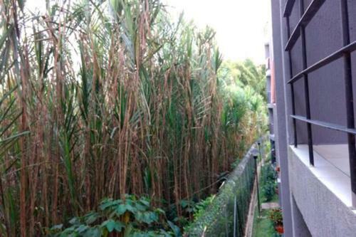 Apartamento Apto Para 4 Personas