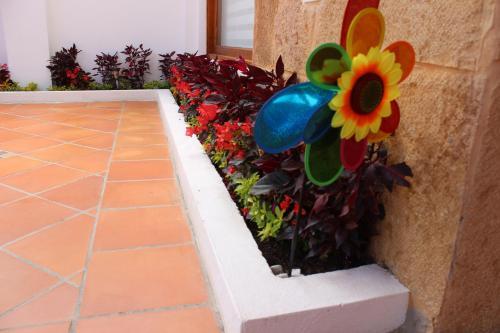 Apartamento Casa Macondo