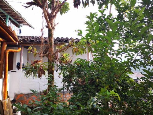 Hostal Timona