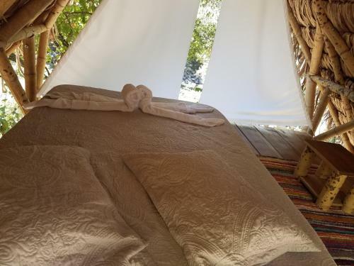 Agroturismo La Finca La Palmita