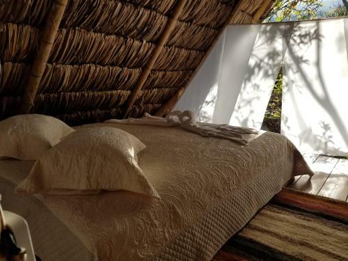 Agroturismo La Finca La Palmita