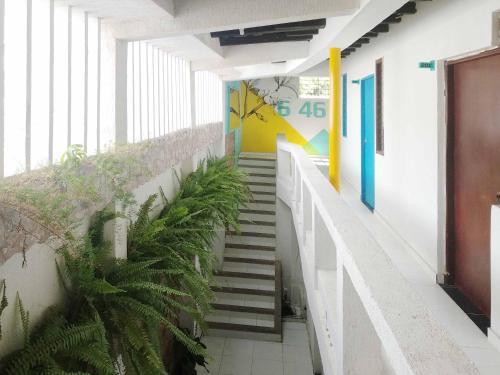 Apartamento Casa 6-46