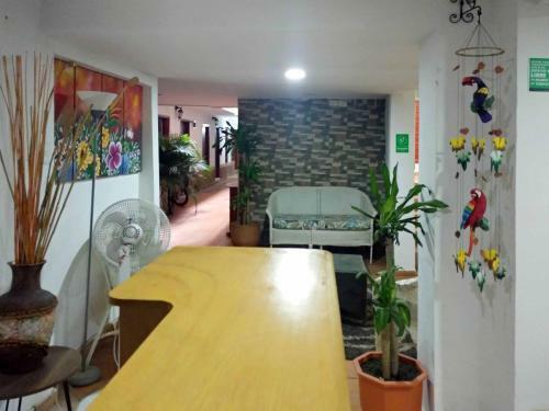 Bed & Breakfast Bacano Hostel
