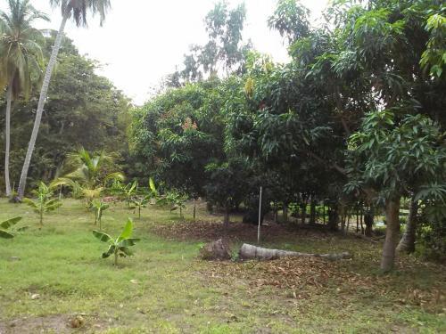 Agroturismo Quinta Monie