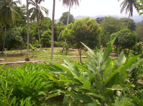 Agroturismo Quinta Monie