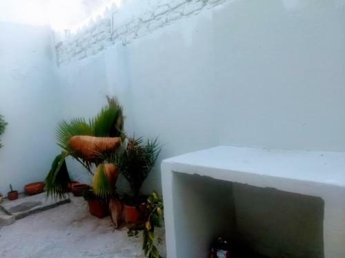 Hotel Galera Republic Hostal