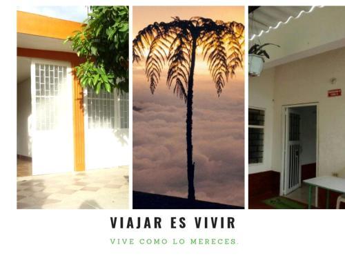 Mandarina Hostal