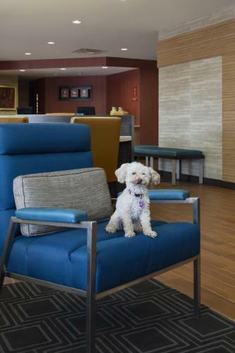 Hotel Towneplace Suites By Marriott Austin Round Rock