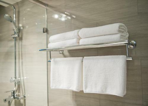 Hotel Wingate By Wyndham Denver Airport