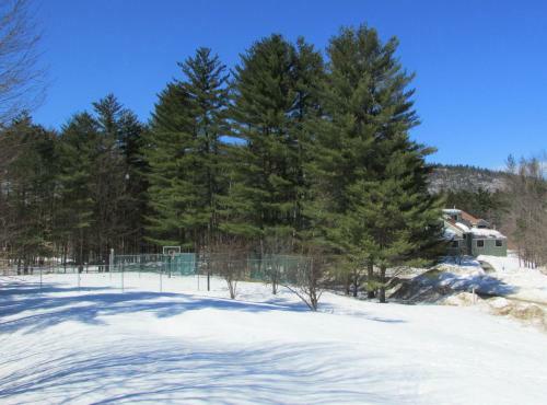 Apartamento Top Notch At The Seasons At Attitash