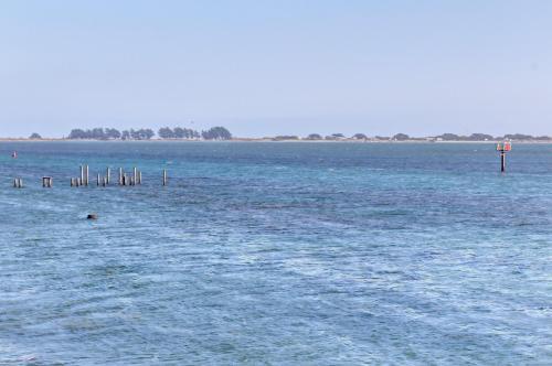 Bayside Cottage