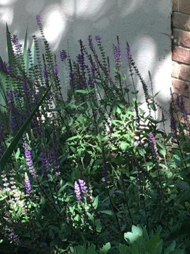 Apartamento 1555 Norwood Ave. Boulder