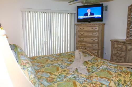 Absolute Anna Maria Two-bedroom Apartment