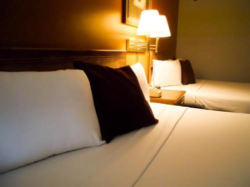 Hotel Branson Surrey Inn