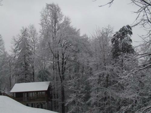 Lodge Nantahala Cabins