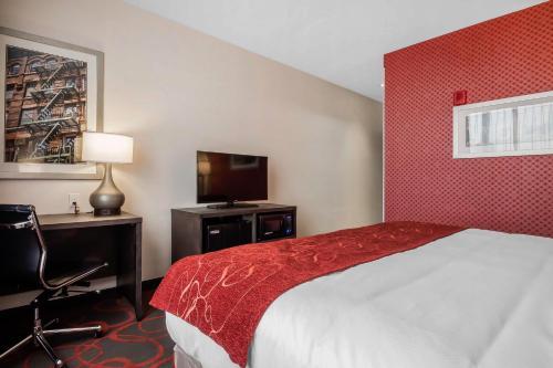 Hotel Comfort Inn & Suites Near Stadium