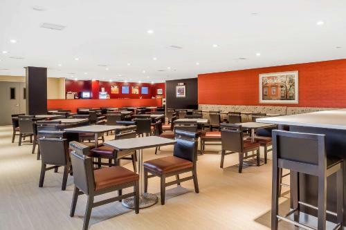 Hotel Comfort Inn & Suites Near Stadium