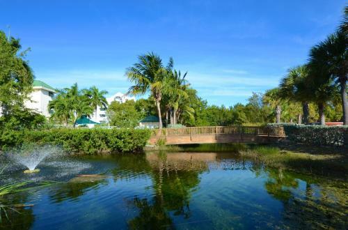 Sunrise Suites Big Kahuna Suite #202