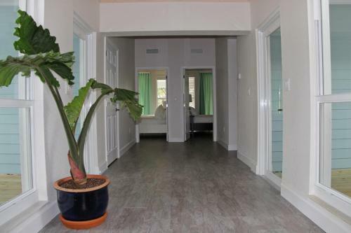Hotel Dolphin Point Villas