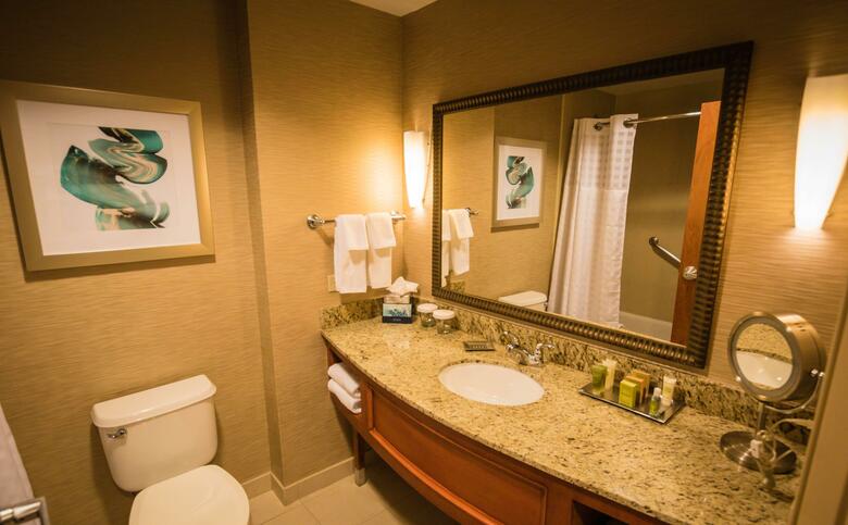 Hotel Hilton St. Petersburg Carillon Park