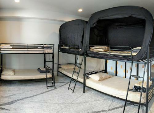 Albergue Homestay Denver