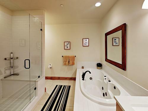 597 Sawatch Drive Townhome Townhouse