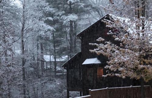 Laughing Bear Cabin