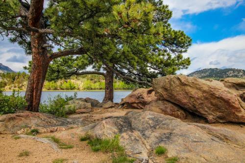 Apartamento Quiet In The Pines