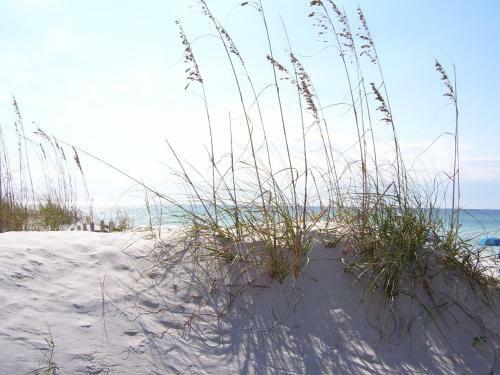 Apartamento Surf Dweller 307 Condo