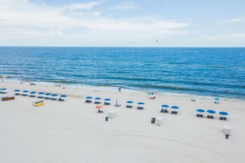 Hotel Hilton Garden Inn Orange Beach