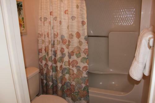 Buena Vista Unit 203