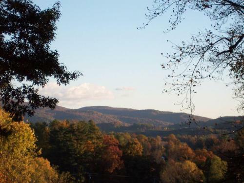 Forest Hill Home